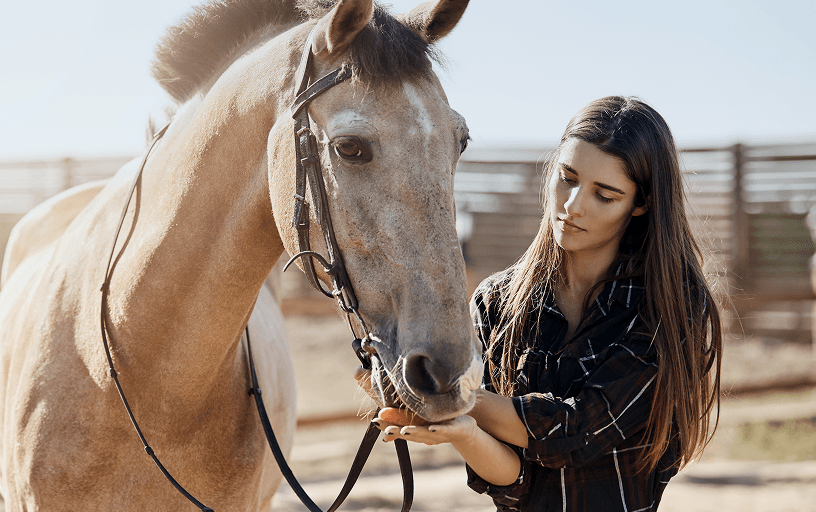 Ретриты с животными photo